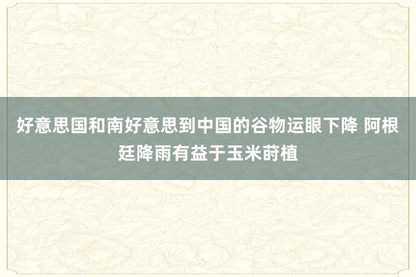 好意思国和南好意思到中国的谷物运眼下降 阿根廷降雨有益于玉米莳植